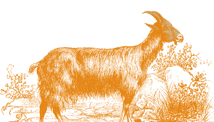 Tapis Illustration