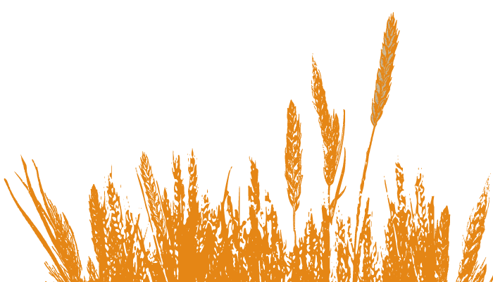 Tapis Illustration