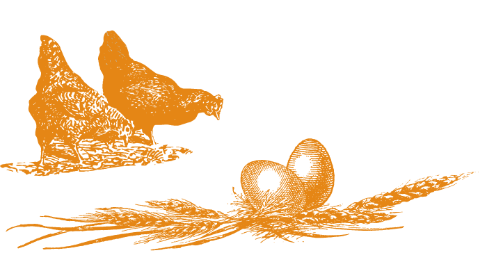 Tapis Illustration